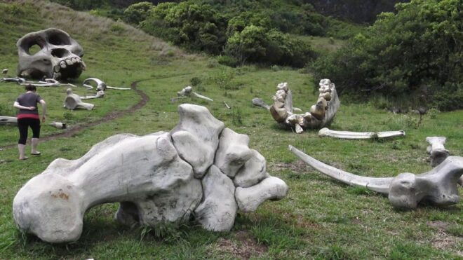Oahu: Kualoa Movie Sites, Jungle, and Buffet Tour Package - You Might Also Like