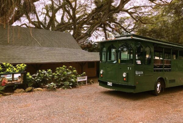 Oahu: Kualoa Movie Sites, Jungle, and Buffet Tour Package - Customer Reviews