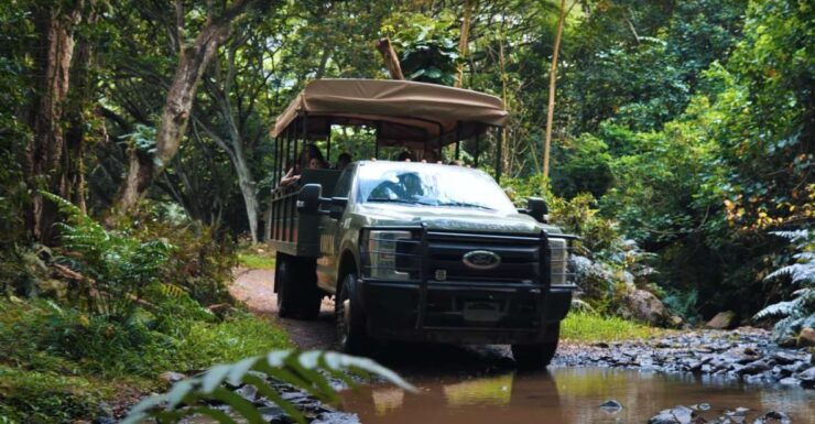 Oahu: Kualoa Open Air Jungle Expedition Tour - Activity Details