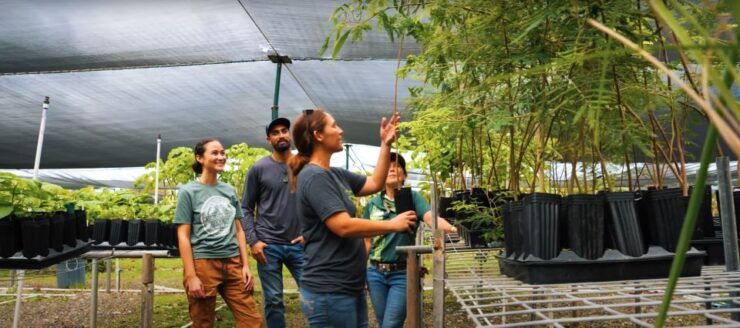 Oahu: Kualoa Ranch Malama Sustainability and Gardening Tour - Sustainable Practices and Highlights