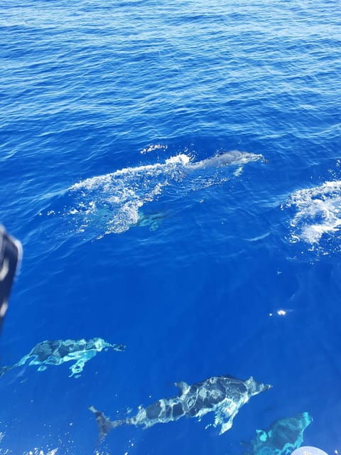 Oahu: Luxury Day Sailboat Charter - Experience Highlights