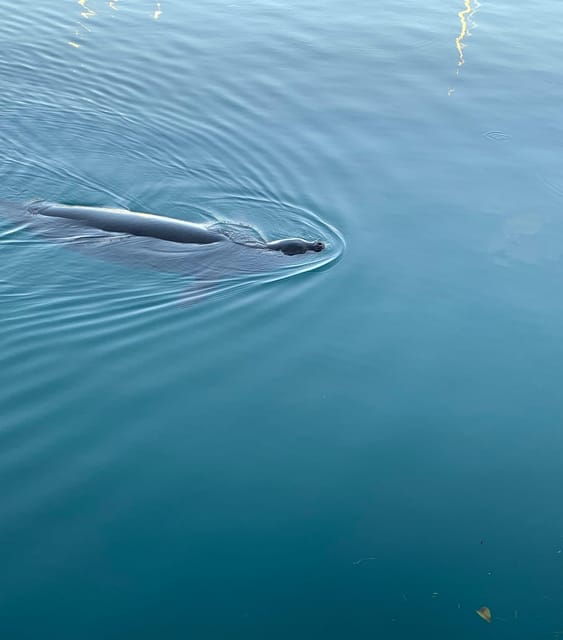 Oahu: Luxury Day Sailboat Charter - Starting Location and Check-in