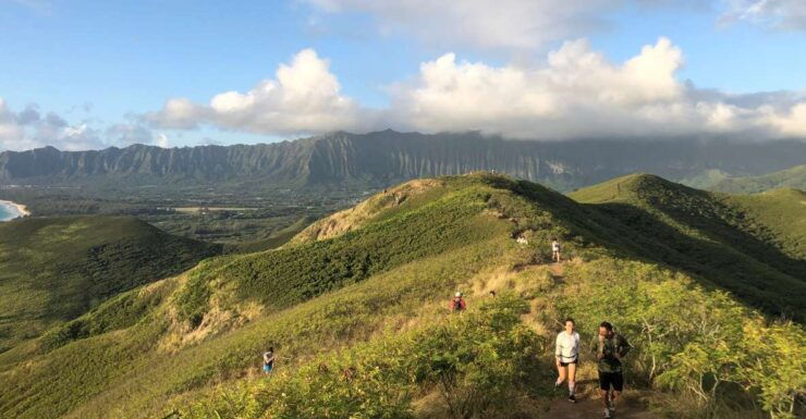 Oahu: Manoa Falls Hike and Tour - Activity Details