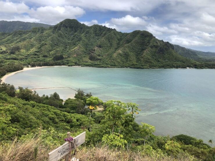 Oahu: Manoa Falls Hike and Tour - Experience