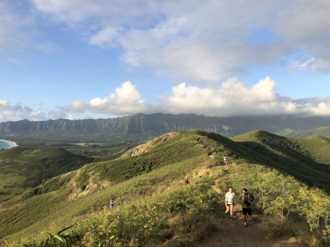 Oahu: Manoa Falls Hike and Tour - Full Description