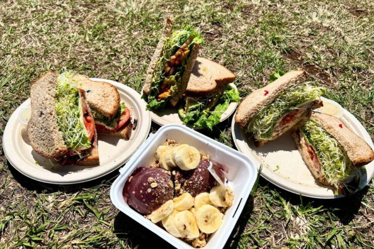 Oahu: Manoa Falls Waterfall Hike With Lunch and Transfers - Booking Details
