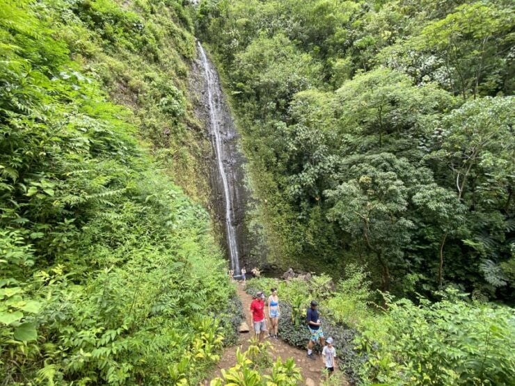 Oahu: Manoa Valley Private Hiking Trip & Waterfall - Full Description of the Activity