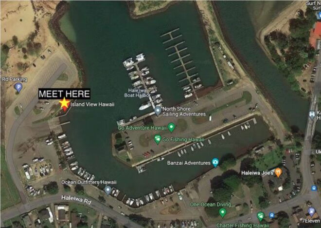 Oahu: North Shore Cageless Shark Snorkeling Tour - Customer Reviews