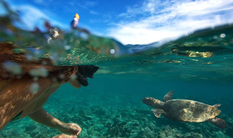 Oahu North Shore Circle Island Adventure + Swimming with Turtles - The useful details at a glance