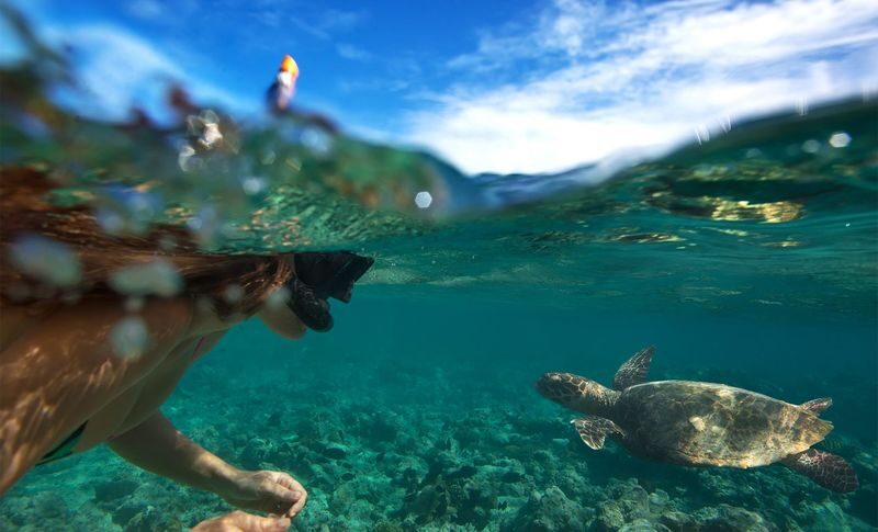 Oahu North Shore Circle Island Adventure + Swimming with Turtles - A nine-hour route that makes Oahu feel bigger