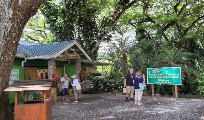 Oahu North Shore Circle Island Adventure + Swimming with Turtles - Dole Plantation and the final stretch