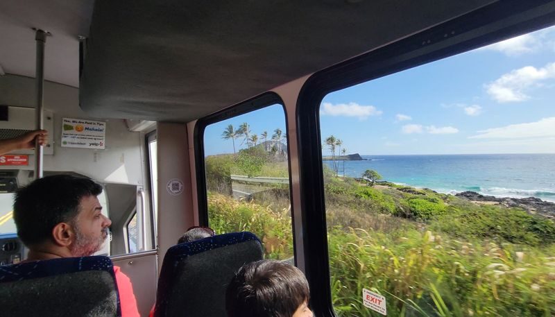 Oahu North Shore Circle Island Adventure + Swimming with Turtles - What the price covers, and what it does not