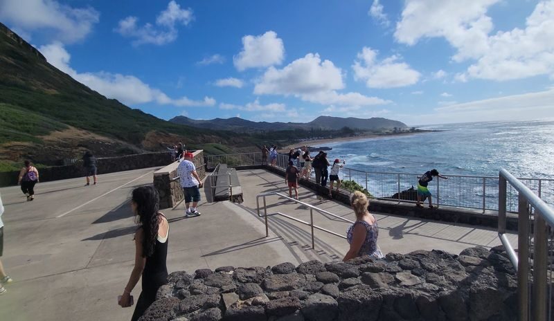 Oahu North Shore Circle Island Adventure + Swimming with Turtles - Who should book this Oahu tour?