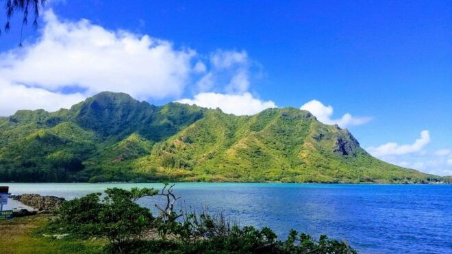 Oahu: North Shore Circle Island Small-Group Tour - Discover Hidden Treasures