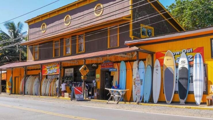 Oahu: North Shore Dole Pineapple Farm Tour - Pickup Locations and Highlights