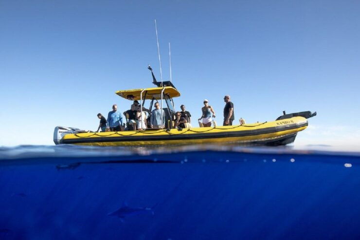 Oahu: North Shore Marine Life Tour From Haleiwa - Live Tour Guide and Language