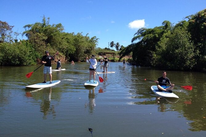 Oahu North Shore Small-Group Stand-Up Paddleboard Turtle Tour - Expectations and Requirements