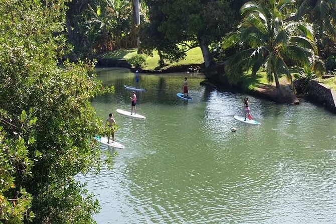 Oahu North Shore Small-Group Stand-Up Paddleboard Turtle Tour - Cancellation Policy