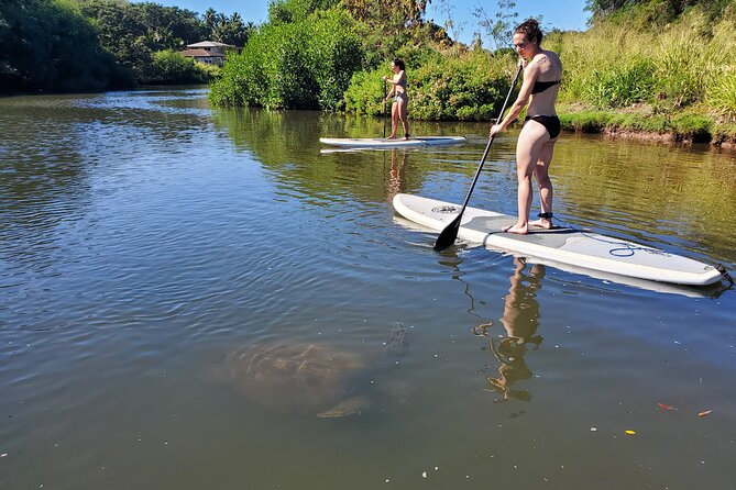 Oahu North Shore Small-Group Stand-Up Paddleboard Turtle Tour - Tour Directions