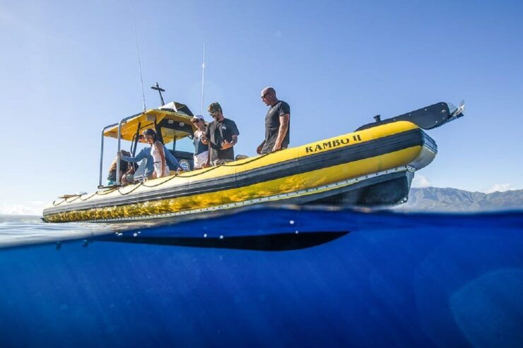 Oahu: North Shore Snorkeling Tour From Haleiwa - Experience Highlights