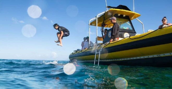Oahu: North Shore Snorkeling Tour From Haleiwa - Booking and Cancellation