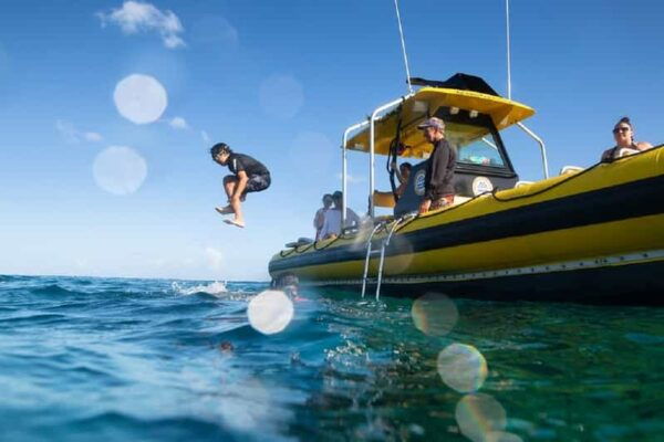 Oahu: North Shore Snorkeling Tour From Haleiwa - Seasonal Availability