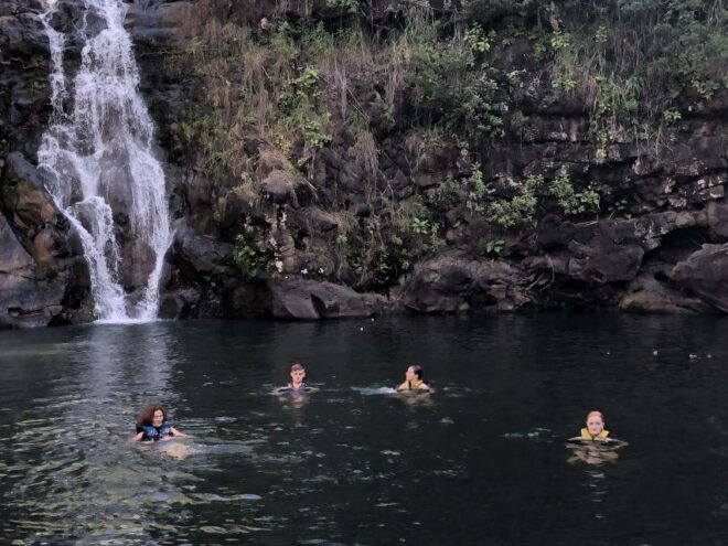 Oahu: North Shore Waterfall Swim - Live Tour Guide and Transportation