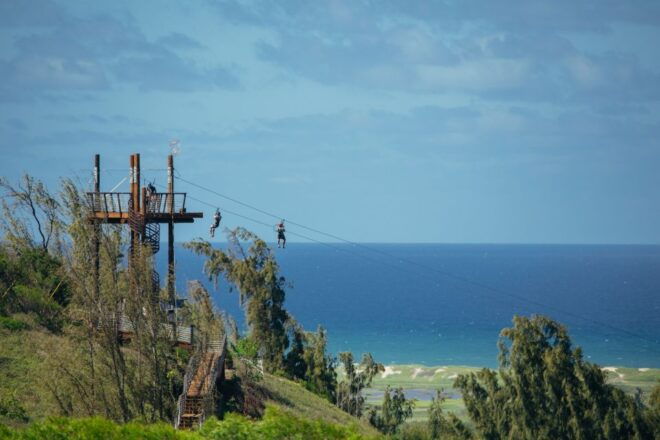 Oahu: North Shore Zip Line Adventure With Farm Tour - Customer Reviews