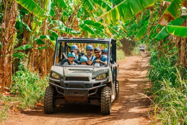 Oahu: North Shore Zip Line Adventure With Farm Tour - Farm Tour and 4-Wheel Adventure