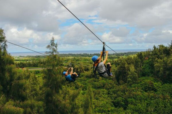 Oahu: North Shore Zip Line Adventure With Farm Tour - Zip Line Adventure on Oahus North Shore