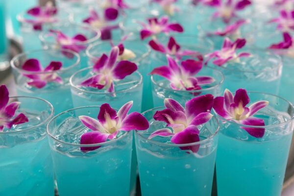 Oahu: Pa'ina Luau Waikiki at Waikiki Beach Marriott Resort - Directions to Waikiki Beach Marriott Resort