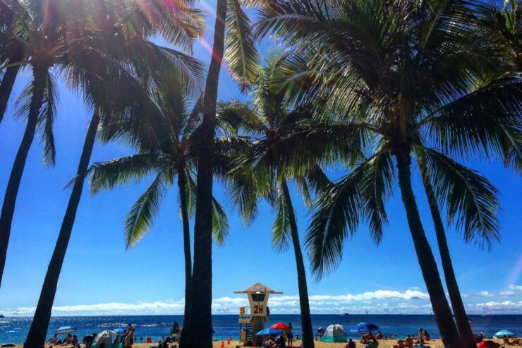 Oahu: Pearl Harbor and Honolulu City Tour - Activity Details