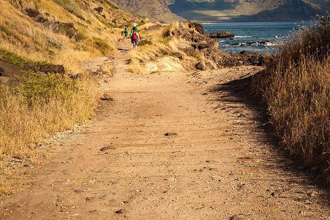 Oahu Personalized Private Tour - Flexibility and Time Management