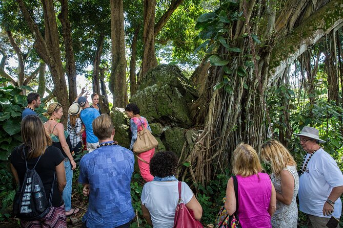 Oahu Personalized Private Tour - The Sum Up
