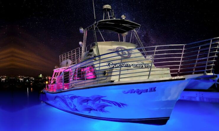 Oahu: Premium Waikiki Sunset Party Cruise With Live DJ - Experience Highlights