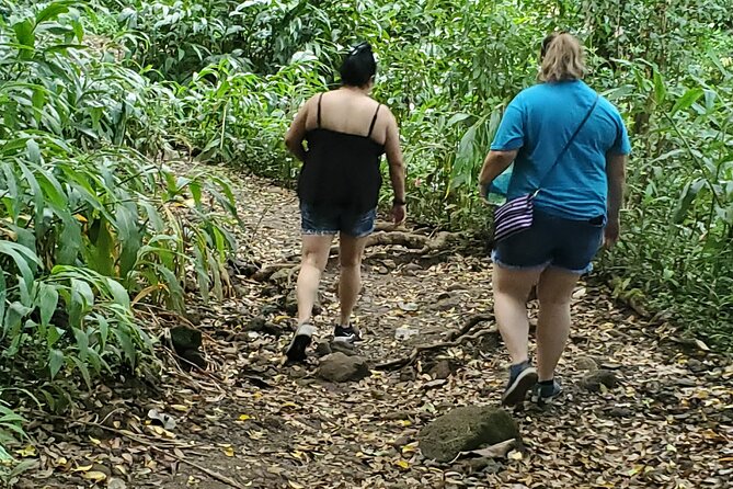 Oahu: Private and Customized Island Tour  - Honolulu - Positive Feedback and Recommendations