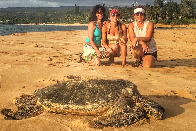 Oahu: Private Circle-Island Jeep Tour  - Honolulu - Tour Overview and Highlights