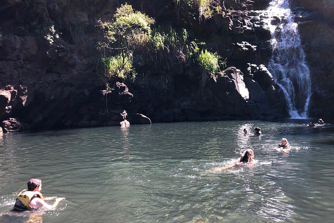 Oahu Private Circle Island Surf and Sea Turtles Tour (Feb ) - Booking Information