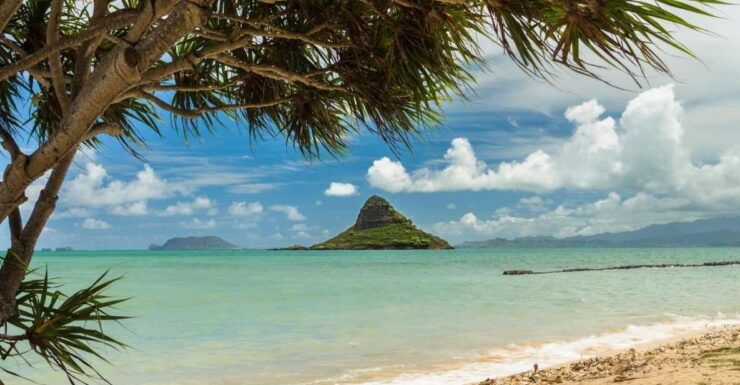 Oahu: Private Custom Island Tour - Tour Details