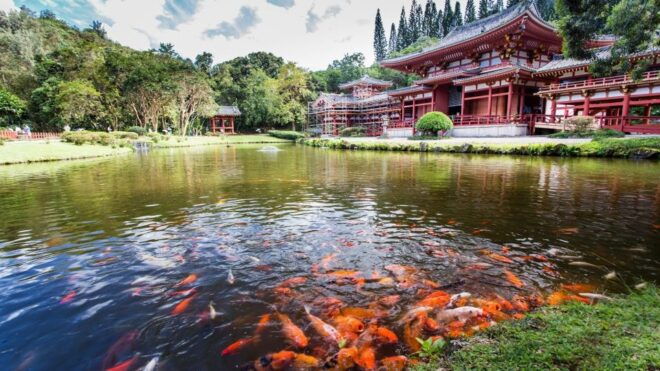 Oahu: Private Custom Island Tour - Stops and Attractions