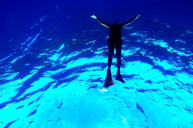 Oahu: Private, Customized Island Tour - Honolulu - Overview of the Tour