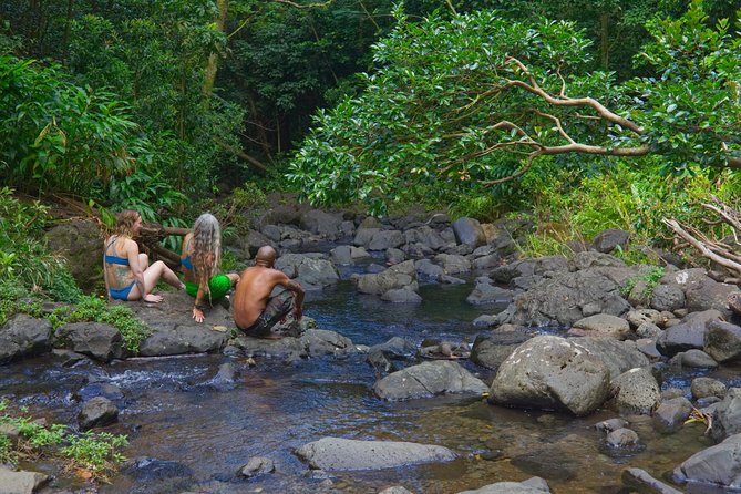 Oahu: Private, Customized Island Tour - Honolulu - Inclusions