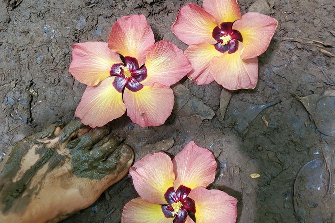 Oahu: Private, Customized Island Tour - Honolulu - The Sum Up