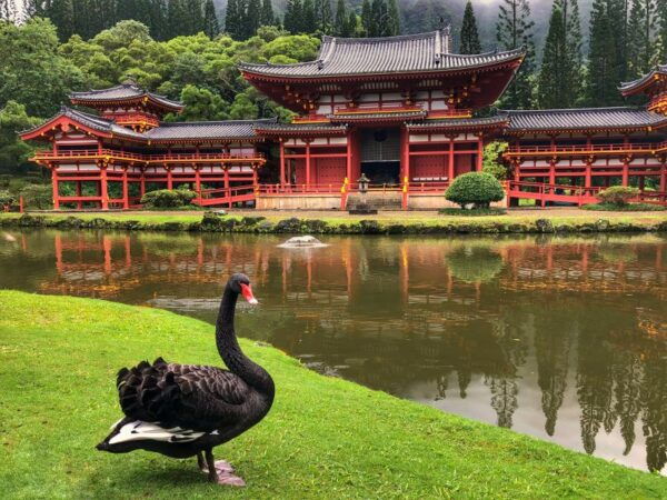 Oahu: Private Full-Day Foodie & Sightseeing Tour - Food Stops and Culinary Delights