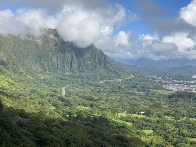 Oahu: Private Full-Day Foodie & Sightseeing Tour - Local Flavors
