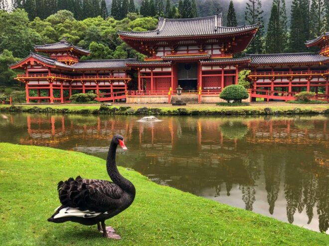 Oahu: Private Full-Day Foodie & Sightseeing Tour - Common Questions