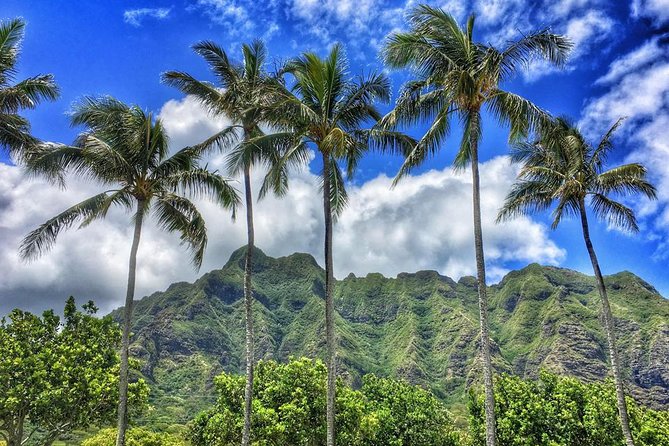 Oahu: Private Half-Day Circle Island Tour  - Honolulu - Recommended Items to Bring