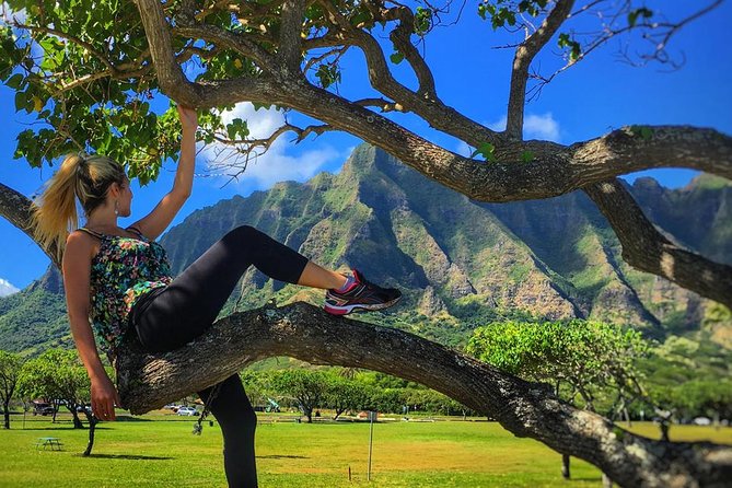 Oahu: Private Half-Day Circle Island Tour  - Honolulu - The Sum Up