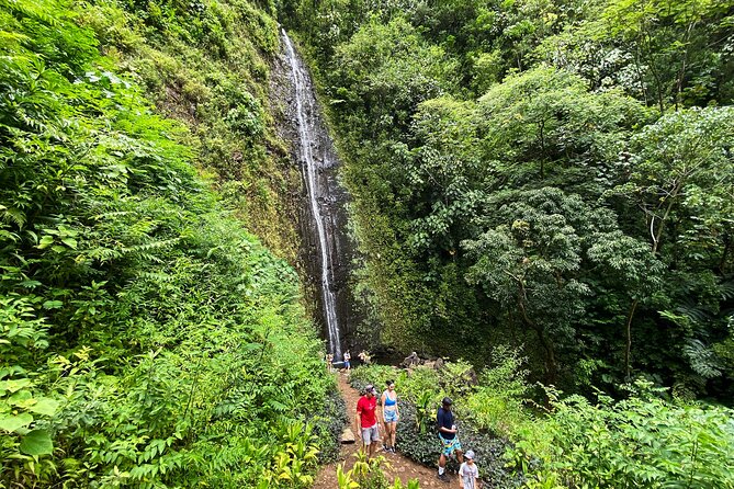 Oahu Private Hiking Tour - Customizable Routes and Adventures