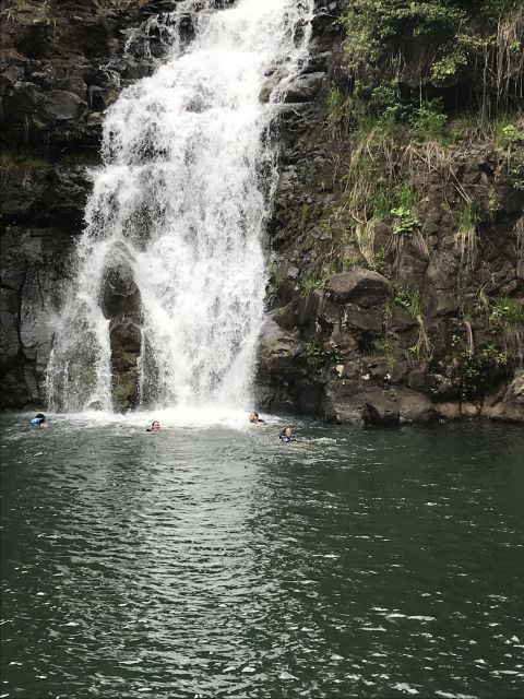 Oahu: Private Island Tour - Booking Information